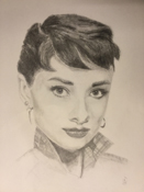 Audry Hepburn Bleistift auf Papier,  50 x 40 cm