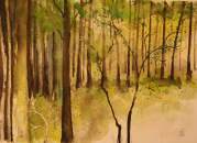 Wald | Aquarell 50 x 70 cm