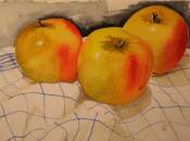 Stillleben Äpfel | Aquarell 30 x 40 cm