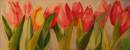 Tulpen IV | Aquarell 30 x 60 cm