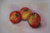 Äpfel – Stillleben | Aquarell  40 x 50 cm