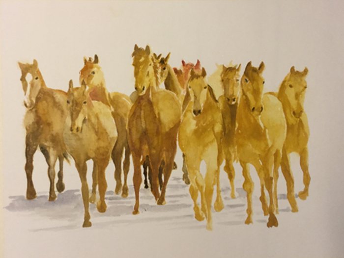 Pferde | Aquarell 53 x 38 cm