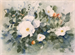 Weiße Heckenrose auf 100g Ingres Papier | Aquarell 32 x 48 cm