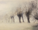 Bäume im Nebel auf 150 g Ingrespapier, 38 x 48 cm 