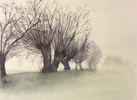 Bäume im Nebel III auf 150 g Ingrespapier, 38 x 48 cm 