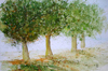 Bäume im Morgennebel | Aquarell 30 x 40 cm