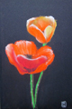 I Mohnblume | Pastell 15 x 23 cm